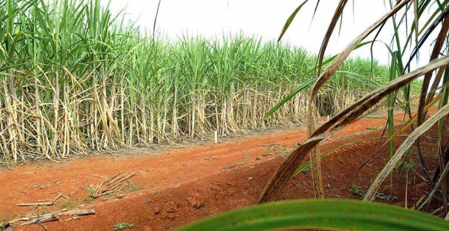 Foto: Elza Fiúza/Agência Brasil – Arquivo