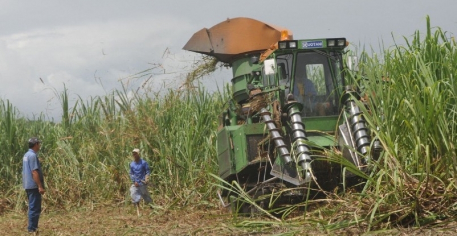 Foto: Alexandre Godim / JC imagem