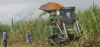Safra de cana-de-açúcar puxa para cima geração de empregos em Pernambuco