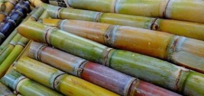 Centro de Pesquisa em Engenharia abre oito vagas de treinamento técnico