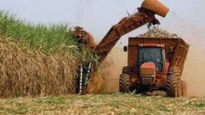 Agronegócio liderou a geração de vagas de emprego no país até agosto