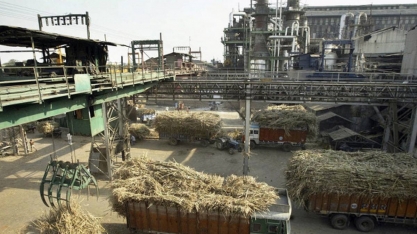 Índia espera rápido aumento no consumo de etanol; Tailândia, nem tanto