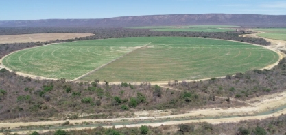 Grupo Bevap Bioenergia vai implantar indústria sucroenergética na Bahia
