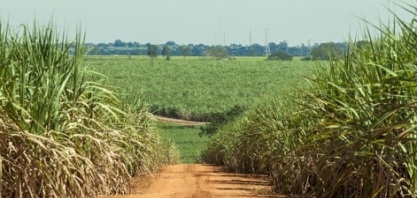 Inmet emite alerta máximo de calor e baixa umidade para vários estados