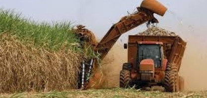 Canaplan: Safra 2020/21 no Centro-Sul deve terminar com colheita de 595 milhões de t de cana