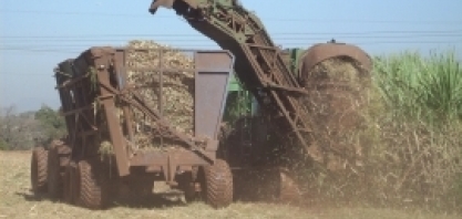 Moagem de cana diminui 8% no Mato Grosso do Sul na safra 2020/21