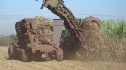 Moagem de cana diminui 8% no Mato Grosso do Sul na safra 2020/21