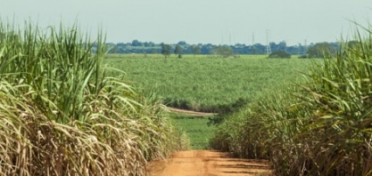 Conectividade ainda é gargalo na área rural