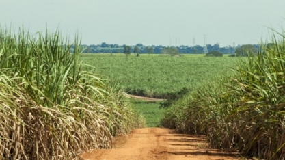 Conectividade ainda é gargalo na área rural