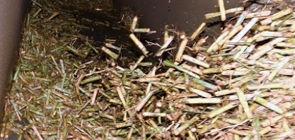 Novo ano deve ser açucareiro, acredita presidente da SIAMIG