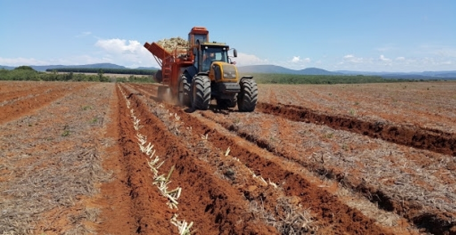 São Paulo foi o estado com melhor resultado