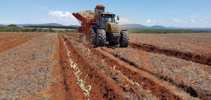 Com cerca de 100 mil empregos, agro lidera a geração de postos de trabalho no Brasil em 2020