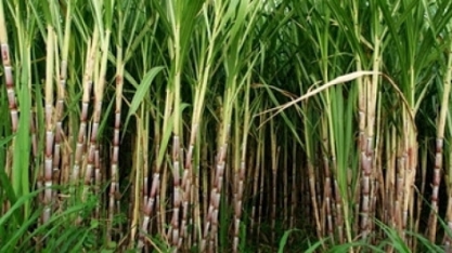 A escalada no valor do ATR