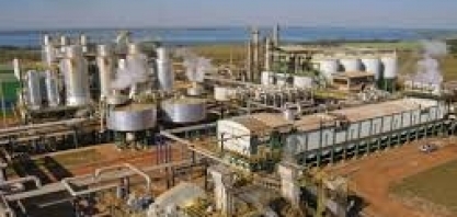 Nova campanha do Açúcar Guarani brinca com os 'micos' na cozinha durante a quarentena