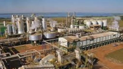 Nova campanha do Açúcar Guarani brinca com os 'micos' na cozinha durante a quarentena