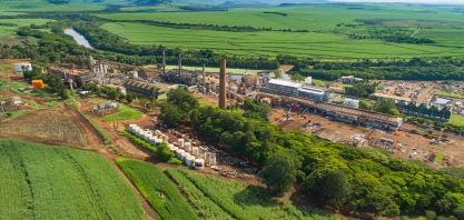 Grupo Pedra já recuperou 95% de suas APP no interior paulista