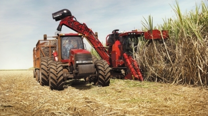 Canaviais da região Centro-Sul atingem 164,04 kg de ATR por tonelada