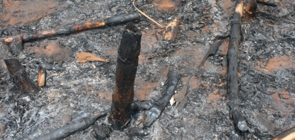 Incorporação evita perda de adubo por causa de incêndios e clima 