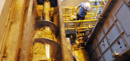 Moagem cresce 14,3% na segunda quinzena de setembro