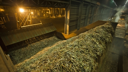 Tudo que entra na indústria, e não é açúcar, vai criar inevitavelmente um problema para a fábrica