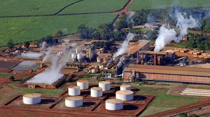 IFC investe US$ 27,5 milhões na Jalles Machado, de Goiás