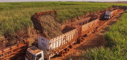 Primeiro ATR da safra 20/21 tem alta de 5%