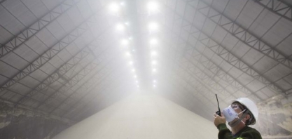 O papel das certificações no mercado internacional e na preservação do meio ambiente