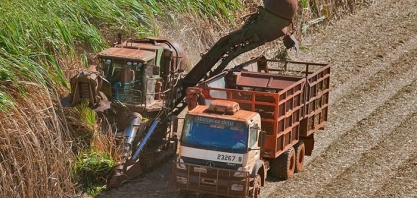 BNDES financia projeto de produção sustentável de biocombustível no Mato Grosso do Sul