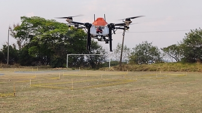 Pesquisadores avançam tecnologia para controlar carrapato transmissor da doença e proteger população brasileira