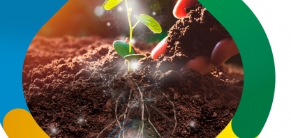 Microgeo promove live 