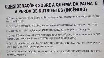 O manejo nutricional nos canaviais incendiados