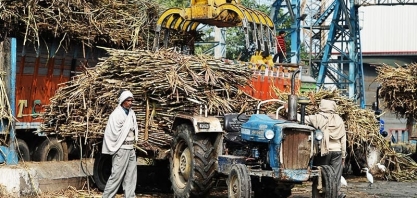 Entrega recorde de açúcar na bolsa indica receio com demanda chinesa e atrasos na Índia