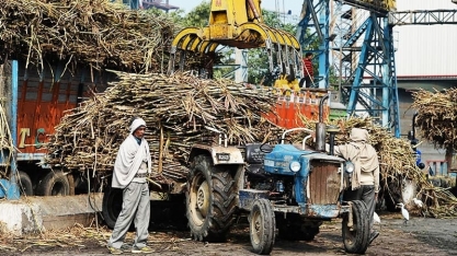 Entrega recorde de açúcar na bolsa indica receio com demanda chinesa e atrasos na Índia