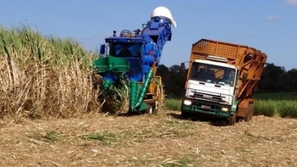 Safra 20/21 já beneficiou mais de 372 mil toneladas de cana