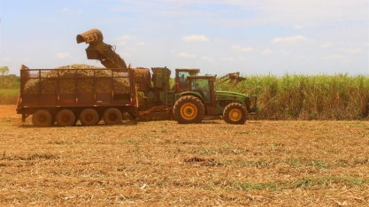 Moagem de cana-de-açúcar atinge 32 milhões de toneladas em MS