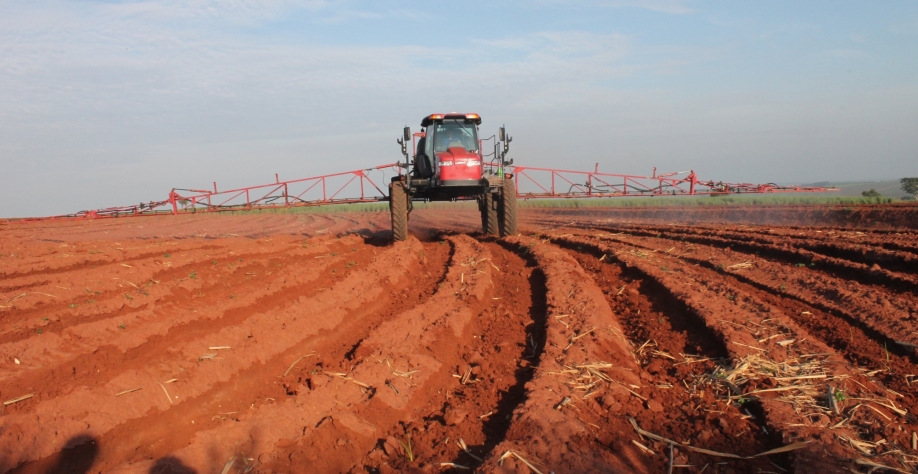 Paralisar as aplicações em julho e agosto obrigará pós-emergência no final da safra. Ato poderá causar injúrias à cultura. Foto: Arquivo CanaOnline