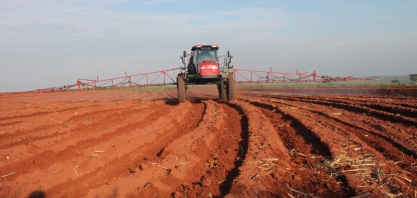 Com as chuvas, plantas daninhas irão impactar mais os canaviais que tiveram aplicações de herbicidas interrompidas por causa da estiagem