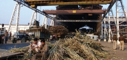 Usinas indianas assinam acordos de exportação de açúcar sem apoio governamental