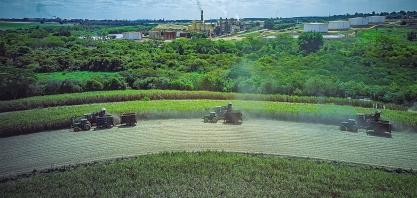 Eficiência operacional é destaque na produção de cana da Usina Estiva