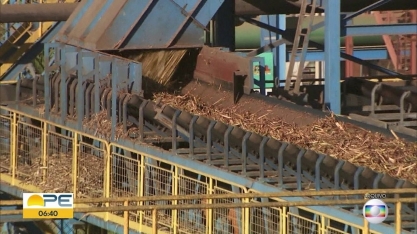 Colheita da cana-de-açúcar faz crescer geração de empregos formais em Pernambuco