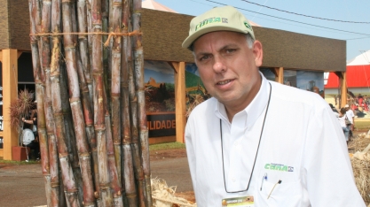 3ª Reunião on-line do Grupo Fitotécnico do IAC acontece nesta terça-feira e a inscrição é grátis