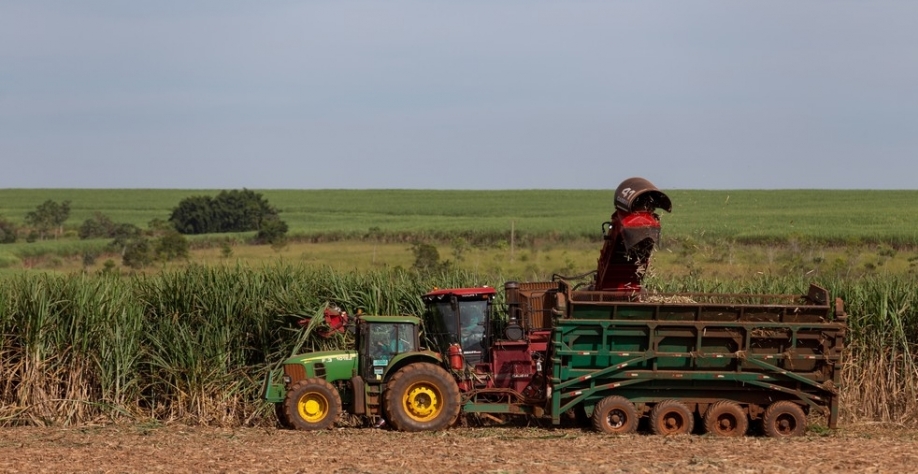 Máquina colhedora de cana Uberaba — Foto: Companhia Mineira de Açúcar e Álcool/Divulgação