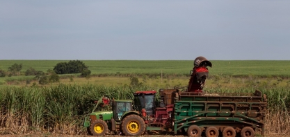 Toda colheita de cana no Paraná deve ser mecanizada até 2025, diz associação