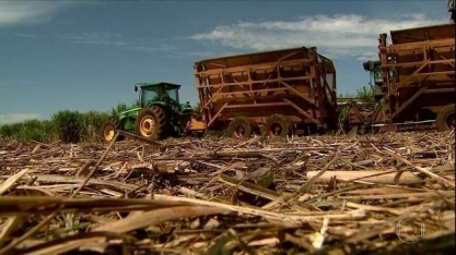 Safra da cana termina em SP com expansão na produção de açúcar