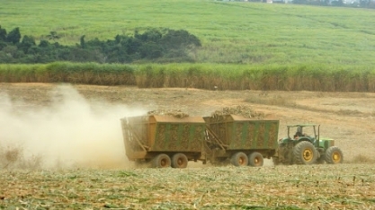 Agropecuária é o setor que mais gerou empregos em 2020