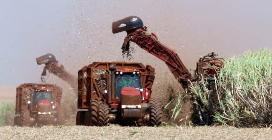 Resíduos de cana podem virar roupas, transformados em fibras têxteis (Imagem:REUTERS/Paulo Whitaker)
