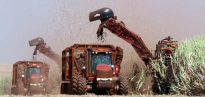 Da cana à banana, a bioeconomia que transforma rejeitos em moda