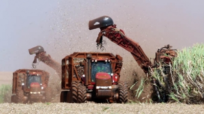 Da cana à banana, a bioeconomia que transforma rejeitos em moda