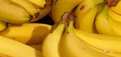 Adolescente desenvolve projeto de biocombustível a partir da banana: 'fruta mais desperdiçada do brasil e do mundo'