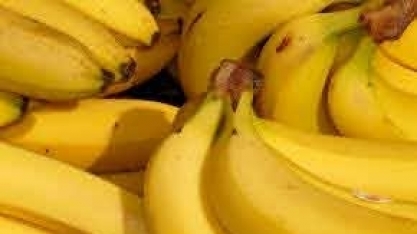 Adolescente desenvolve projeto de biocombustível a partir da banana: 'fruta mais desperdiçada do brasil e do mundo'